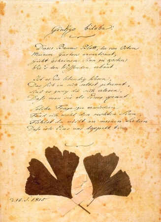 ������� ��� ��������� ���� � ������ ������