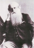 Файл : 1900-10_10a.jpg
Размер файла: 24KB
Размеры : 431x600
Дата добавления : April 16, 2009 1900-10_10a.jpg